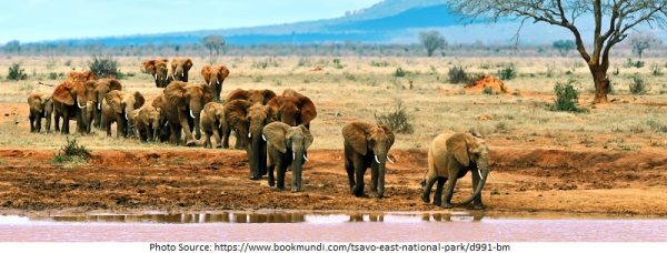 Tourist Attractions In Kenya Best Amazing Places Tour Rom