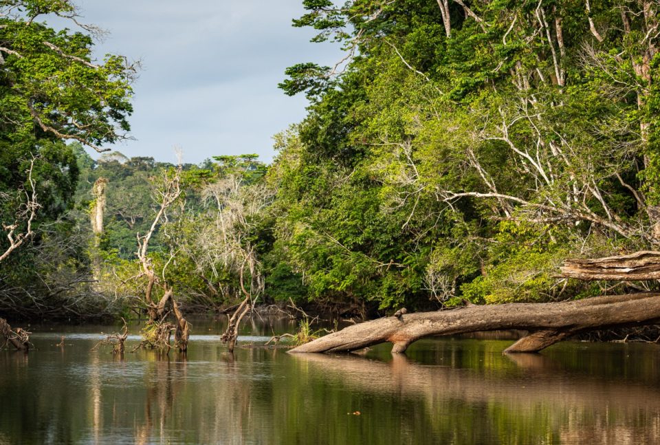 Topmost Tourist Attractions to Visit in Gabon