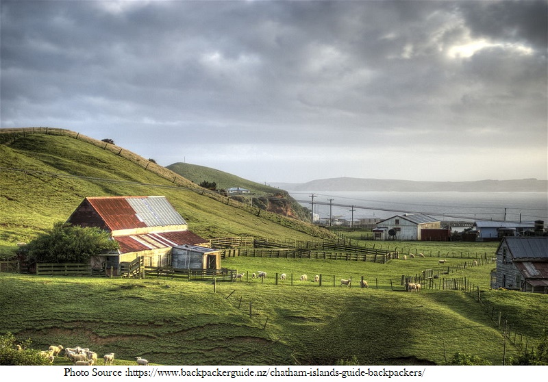 25 Best Tourist Attractions to Visit in New Zealand