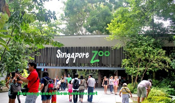 21 Best Things That You May Want to Do in Singapore - Tour Rom