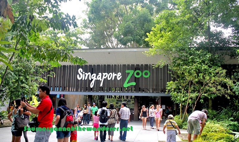 At Singapore Zoo, Singapore 