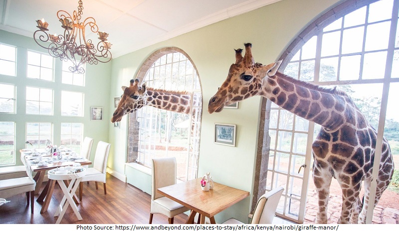 Giraffe Manor attractions 