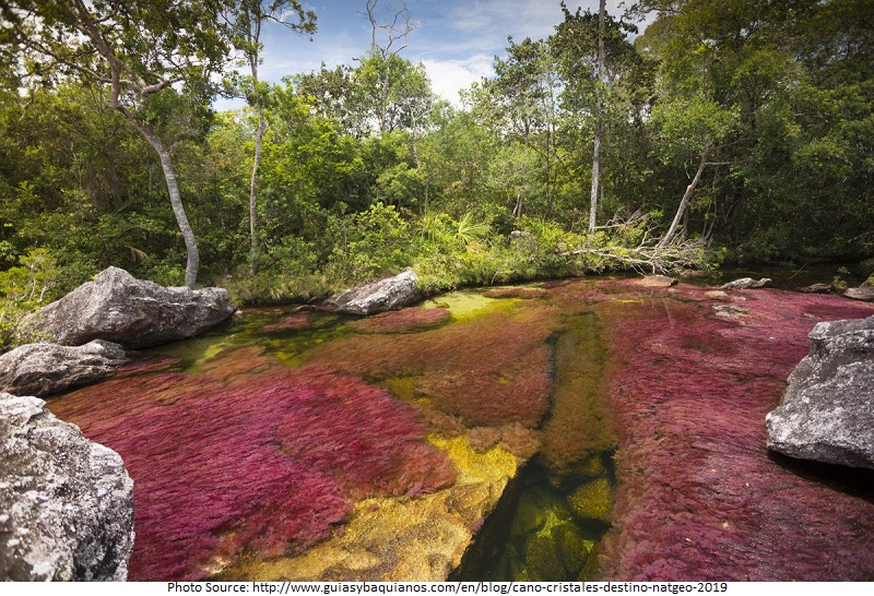 tourist attractions in caño cristales