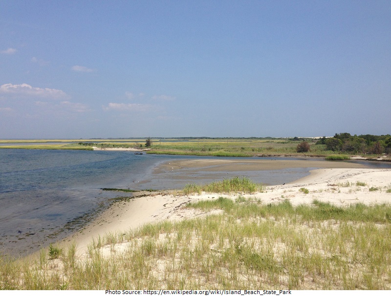 tourist attractions in Island Beach State Park