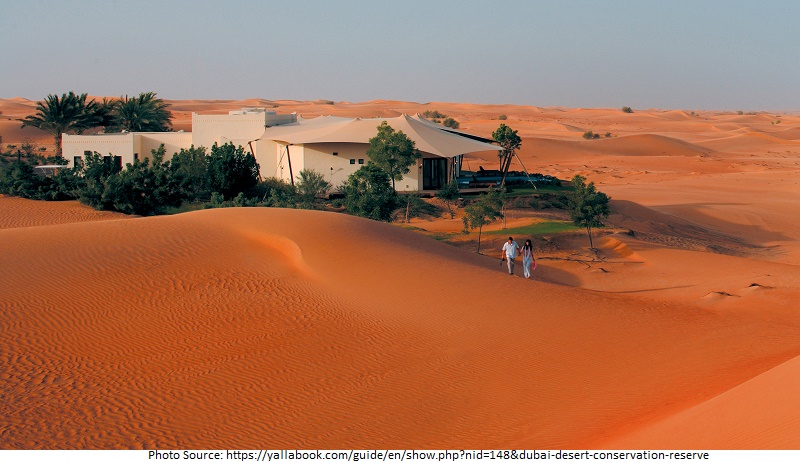 tourist attractions in Dubai Desert Conservation Reserve