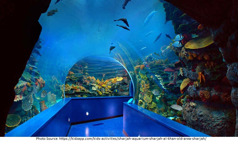 tourist attractions in Sharjah Aquarium